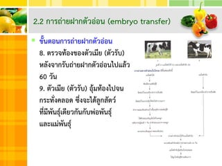  ขั้นตอนการถ่ายฝากตัวอ่อน
8. ตรวจท้องของตัวเมีย (ตัวรับ)
หลังจากรับถ่ายฝากตัวอ่อนไปแล้ว
60 วัน
9. ตัวเมีย (ตัวรับ) อุ้มท้องไปจน
กระทั่งคลอด ซึ่งจะได้ลูกสัตว์
ที่มีพันธุ์เดียวกันกับพ่อพันธุ์
และแม่พันธุ์
2.2 การถ่ายฝากตัวอ่อน (embryo transfer)
 