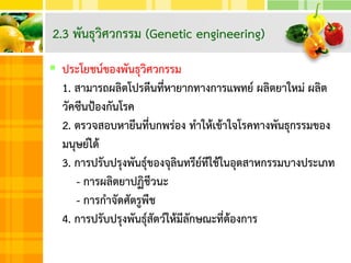  ประโยชน์ของพันธุวิศวกรรม
1. สามารถผลิตโปรตีนที่หายากทางการแพทย์ ผลิตยาใหม่ ผลิต
วัคซีนป้องกันโรค
2. ตรวจสอบหายีนที่บกพร่อง ทาให้เข้าใจโรคทางพันธุกรรมของ
มนุษย์ได้
3. การปรับปรุงพันธุ์ของจุลินทรีย์ทีใช้ในอุตสาหกรรมบางประเภท
- การผลิตยาปฏิชีวนะ
- การกาจัดศัตรูพืช
4. การปรับปรุงพันธุ์สัตว์ให้มีลักษณะที่ต้องการ
2.3 พันธุวิศวกรรม (Genetic engineering)
 