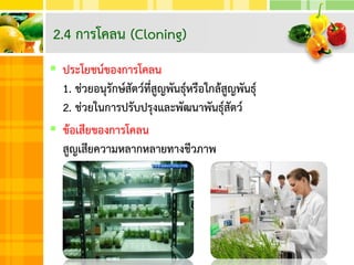  ประโยชน์ของการโคลน
1. ช่วยอนุรักษ์สัตว์ที่สูญพันธุ์หรือใกล้สูญพันธุ์
2. ช่วยในการปรับปรุงและพัฒนาพันธุ์สัตว์
 ข้อเสียของการโคลน
สูญเสียความหลากหลายทางชีวภาพ
2.4 การโคลน (Cloning)
 