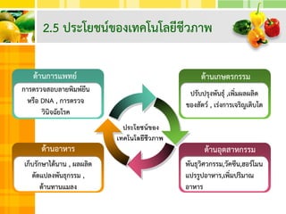 2.5 ประโยชน์ของเทคโนโลยีชีวภาพ
ด้านอาหาร
เก็บรักษาได้นาน , ผลผลิต
ดัดแปลงพันธุกรรม ,
ต้านทานแมลง
ด้านการแพทย์
การตรวจสอบลายพิมพ์ยีน
หรือ DNA , การตรวจ
วินิจฉัยโรค
ด้านอุตสาหกรรม
พันธุวิศวกรรม,วัคซีน,ฮอร์โมน
แปรรูปอาหาร,เพิ่มปริมาณ
อาหาร
ด้านเกษตรกรรม
ปรับปรุงพันธุ์ ,เพิ่มผลผลิต
ของสัตว์ , เร่งการเจริญเติบโต
ประโยชน์ของ
เทคโนโลยีชีวภาพ
 