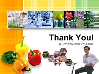 L/O/G/O
Thank You!
www.kruseksan.com
 