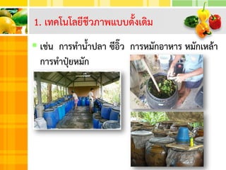  เช่น การทาน้าปลา ซีอิ๊ว การหมักอาหาร หมักเหล้า
การทาปุ๋ยหมัก
1. เทคโนโลยีชีวภาพแบบดั้งเดิม
 