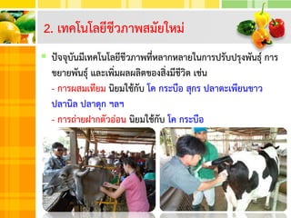  ปัจจุบันมีเทคโนโลยีชีวภาพที่หลากหลายในการปรับปรุงพันธุ์ การ
ขยายพันธุ์ และเพิ่มผลผลิตของสิ่งมีชีวิต เช่น
- การผสมเทียม นิยมใช้กับ โค กระบือ สุกร ปลาตะเพียนขาว
ปลานิล ปลาดุก ฯลฯ
- การถ่ายฝากตัวอ่อน นิยมใช้กับ โค กระบือ
2. เทคโนโลยีชีวภาพสมัยใหม่
 