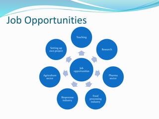 Job Opportunities
Job
opportunities
Teaching
Research
Pharma
sector
Food
processing
industry
Bioprocess
industry
Agriculture
sector
Setting up
own project
 