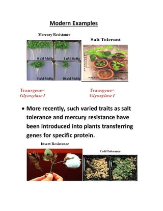 Modern Examples
 More recently, such varied traits as salt
tolerance and mercury resistance have
been introduced into plants transferring
genes for specific protein.
 