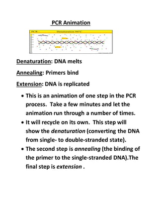Biotechnology- Principles and processes investigatory project. | DOCX