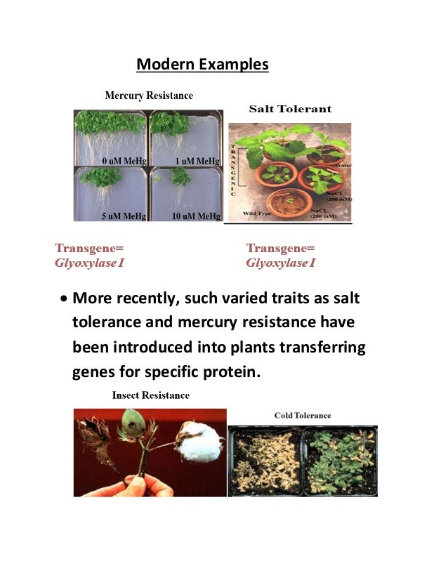 Introduction To Genetic Principles Pdf Viewer