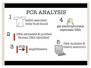 Role of biotechnology in forensic science | PPTX