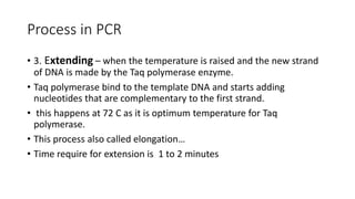 Process in PCR
• 3. Extending – when the temperature is raised and the new strand
of DNA is made by the Taq polymerase enzyme.
• Taq polymerase bind to the template DNA and starts adding
nucleotides that are complementary to the first strand.
• this happens at 72 C as it is optimum temperature for Taq
polymerase.
• This process also called elongation…
• Time require for extension is 1 to 2 minutes
 