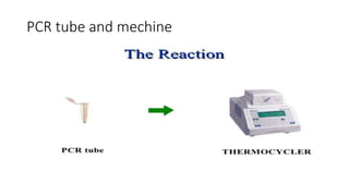 PCR tube and mechine
 
