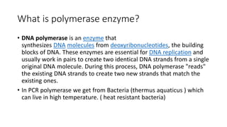 What is polymerase enzyme?
• DNA polymerase is an enzyme that
synthesizes DNA molecules from deoxyribonucleotides, the building
blocks of DNA. These enzymes are essential for DNA replication and
usually work in pairs to create two identical DNA strands from a single
original DNA molecule. During this process, DNA polymerase "reads"
the existing DNA strands to create two new strands that match the
existing ones.
• In PCR polymerase we get from Bacteria (thermus aquaticus ) which
can live in high temperature. ( heat resistant bacteria)
 