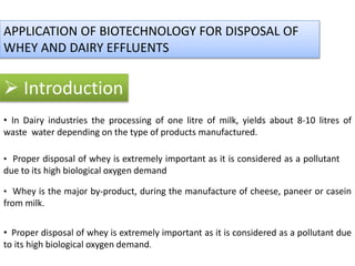  Introduction
• In Dairy industries the processing of one litre of milk, yields about 8-10 litres of
waste water depending on the type of products manufactured.
• Whey is the major by-product, during the manufacture of cheese, paneer or casein
from milk.
• Proper disposal of whey is extremely important as it is considered as a pollutant due
to its high biological oxygen demand.
• Proper disposal of whey is extremely important as it is considered as a pollutant
due to its high biological oxygen demand
APPLICATION OF BIOTECHNOLOGY FOR DISPOSAL OF
WHEY AND DAIRY EFFLUENTS
 