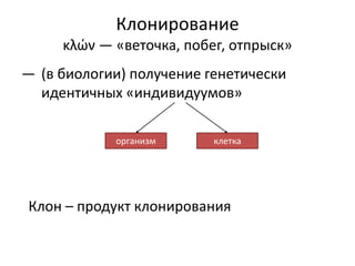 Клонирование
κλών — «веточка, побег, отпрыск»
― (в биологии) получение генетически
идентичных «индивидуумов»
Клон – продукт клонирования
организм клетка
 