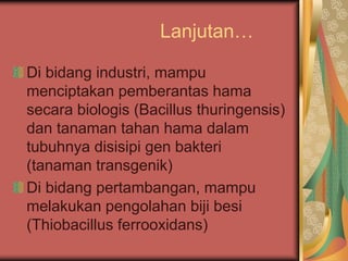 Lanjutan…
Di bidang industri, mampu
menciptakan pemberantas hama
secara biologis (Bacillus thuringensis)
dan tanaman tahan hama dalam
tubuhnya disisipi gen bakteri
(tanaman transgenik)
Di bidang pertambangan, mampu
melakukan pengolahan biji besi
(Thiobacillus ferrooxidans)
 