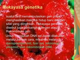 Rekayasa genetika
suatu cara memanipulasikan gen untuk
menghasilkan makhluk hidup baru dengan
sifat yang diinginkan. Rekayasa genetika
disebut juga pencangkokan gen atau
Rekombinasi gen
Untuk mengubah DNA sel dapat dilakukan
melalui banyak cara, misalnya melalui
transplantasi inti, fusi sel, teknologi
plasmid, dan rekombinasi DNA.
 