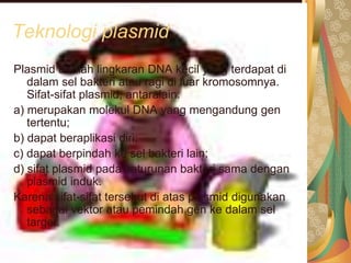 Teknologi plasmid
Plasmid adalah lingkaran DNA kecil yang terdapat di
dalam sel bakteri atau ragi di luar kromosomnya.
Sifat-sifat plasmid, antaralain:
a) merupakan molekul DNA yang mengandung gen
tertentu;
b) dapat beraplikasi diri;
c) dapat berpindah ke sel bakteri lain;
d) sifat plasmid pada keturunan bakteri sama dengan
plasmid induk.
Karena sifat-sifat tersebut di atas plasmid digunakan
sebagai vektor atau pemindah gen ke dalam sel
target.
 