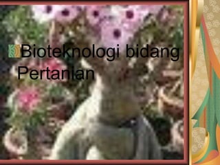 Bioteknologi bidang
Pertanian
 