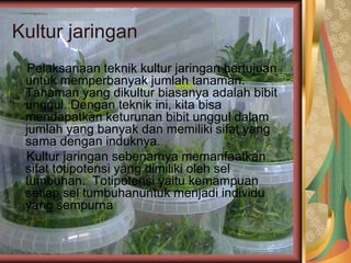 Kultur jaringan
Pelaksanaan teknik kultur jaringan bertujuan
untuk memperbanyak jumlah tanaman.
Tanaman yang dikultur biasanya adalah bibit
unggul. Dengan teknik ini, kita bisa
mendapatkan keturunan bibit unggul dalam
jumlah yang banyak dan memiliki sifat yang
sama dengan induknya.
Kultur jaringan sebenarnya memanfaatkan
sifat totipotensi yang dimiliki oleh sel
tumbuhan. Totipotensi yaitu kemampuan
setiap sel tumbuhanuntuk menjadi individu
yang sempurna
 