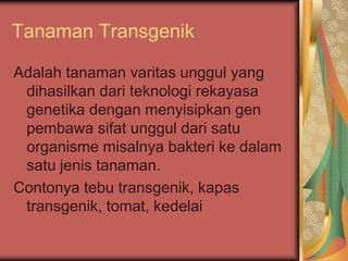 Tanaman Transgenik
Adalah tanaman varitas unggul yang
dihasilkan dari teknologi rekayasa
genetika dengan menyisipkan gen
pembawa sifat unggul dari satu
organisme misalnya bakteri ke dalam
satu jenis tanaman.
Contonya tebu transgenik, kapas
transgenik, tomat, kedelai
 