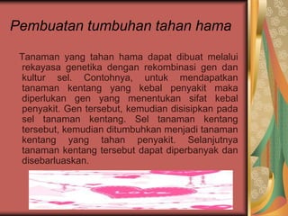 Pembuatan tumbuhan tahan hama
Tanaman yang tahan hama dapat dibuat melalui
rekayasa genetika dengan rekombinasi gen dan
kultur sel. Contohnya, untuk mendapatkan
tanaman kentang yang kebal penyakit maka
diperlukan gen yang menentukan sifat kebal
penyakit. Gen tersebut, kemudian disisipkan pada
sel tanaman kentang. Sel tanaman kentang
tersebut, kemudian ditumbuhkan menjadi tanaman
kentang yang tahan penyakit. Selanjutnya
tanaman kentang tersebut dapat diperbanyak dan
disebarluaskan.
 