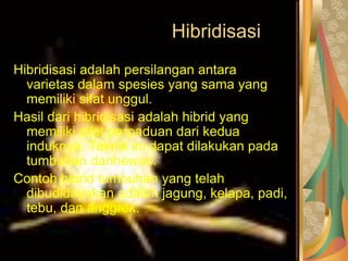 Hibridisasi
Hibridisasi adalah persilangan antara
varietas dalam spesies yang sama yang
memiliki sifat unggul.
Hasil dari hibridisasi adalah hibrid yang
memiliki sifat perpaduan dari kedua
induknya. Teknik ini dapat dilakukan pada
tumbuhan danhewan.
Contoh hibrid tumbuhan yang telah
dibudidayakan adalah jagung, kelapa, padi,
tebu, dan anggrek.
 