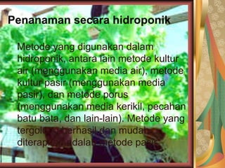 Penanaman secara hidroponik
Metode yang digunakan dalam
hidroponik, antara lain metode kultur
air (menggunakan media air), metode
kultur pasir (menggunakan media
pasir), dan metode porus
(menggunakan media kerikil, pecahan
batu bata, dan lain-lain). Metode yang
tergolong berhasil dan mudah
diterapkan adalah metode pasir
 