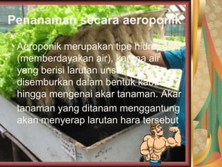 Penanaman secara aeroponik
Aeroponik merupakan tipe hidroponik
(memberdayakan air), karena air
yang berisi larutan unsur hara
disemburkan dalam bentuk kabut
hingga mengenai akar tanaman. Akar
tanaman yang ditanam menggantung
akan menyerap larutan hara tersebut.
 