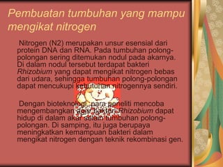 Pembuatan tumbuhan yang mampu
mengikat nitrogen
Nitrogen (N2) merupakan unsur esensial dari
protein DNA dan RNA. Pada tumbuhan polong-
polongan sering ditemukan nodul pada akarnya.
Di dalam nodul tersebut terdapat bakteri
Rhizobium yang dapat mengikat nitrogen bebas
dari udara, sehingga tumbuhan polong-polongan
dapat mencukupi kebutuhan nitrogennya sendiri.
Dengan bioteknologi, para peneliti mencoba
mengembangkan agar bakteri Rhizobium dapat
hidup di dalam akar selain tumbuhan polong-
polongan. Di samping, itu juga berupaya
meningkatkan kemampuan bakteri dalam
mengikat nitrogen dengan teknik rekombinasi gen.
 