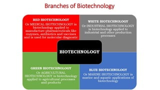 Branches of Biotechnology
 