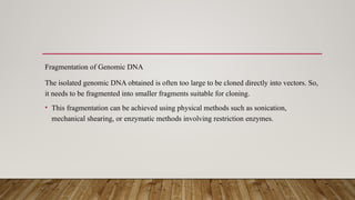 Fragmentation of Genomic DNA
The isolated genomic DNA obtained is often too large to be cloned directly into vectors. So,
it needs to be fragmented into smaller fragments suitable for cloning.
• This fragmentation can be achieved using physical methods such as sonication,
mechanical shearing, or enzymatic methods involving restriction enzymes.
 