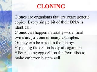 biotechnologia y sus aplicaciones en la ciencias | PPT