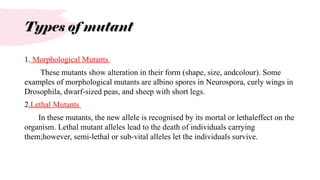 Mutants Pathologies Mutation and its types | PPTX