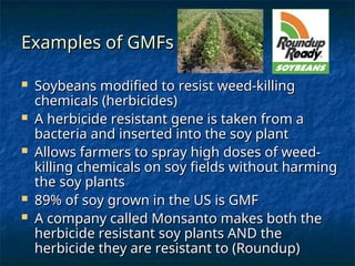 Gmf Examples biotechnology-genetic-engineering lesson.ppt