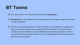 BT Toxins
 Bt is also used for the reduction of toxins called mycotoxins.
 Mycotoxins are very potent poisons that produced by a fungus that grows on grains
or other feedstuffs.
 Mycotoxin contamination levels in maize kernels are controlled by a complex set of
factors including insect pressure, fungal inoculum potential, and environmental
conditions that are difficult to predict. Methods are becoming available to control
mycotoxin-producing fungi in preharvest crops, including Bt expression, biocontrol,
and host plant resistance.
 