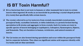 IS BT Toxin Harmful?
 Bt is a bacterium that is not toxic to humans or other mammals but is toxic to certain
insects when ingested. Bt works as an insecticide by producing a crystal-shaped protein
(Cry toxin) that specifically kills certain insects.
 The crystal, referred to as Cry toxin (cry from crystal), insecticidal crystal protein,
parasporal body, crystalline inclusion, or delta endotoxin, is a protein formed during
sporulation in Bt strains and aggregate to form crystals. Such Cry toxins are toxic to
specific species of insects belonging to Lepidoptera, Coleoptera, Hymenoptera, Diptera,
and Nematoda. They are harmless to human, vertebrates, and natural enemies of
insects.
 The Cyt toxins are also formed during sporulation and occur within the parasporal body
but in a separate inclusion. They share no significant amino acid sequence identity with
Cry toxins and are thus unrelated.
 