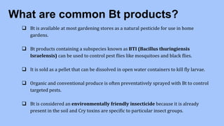 What are common Bt products?
 Bt is available at most gardening stores as a natural pesticide for use in home
gardens.
 Bt products containing a subspecies known as BTI (Bacillus thuringiensis
Israelensis) can be used to control pest flies like mosquitoes and black flies.
 It is sold as a pellet that can be dissolved in open water containers to kill fly larvae.
 Organic and conventional produce is often preventatively sprayed with Bt to control
targeted pests.
 Bt is considered an environmentally friendly insecticide because it is already
present in the soil and Cry toxins are specific to particular insect groups.
 