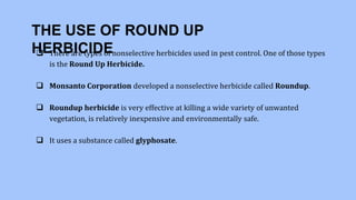 THE USE OF ROUND UP
HERBICIDE
 There are types of nonselective herbicides used in pest control. One of those types
is the Round Up Herbicide.
 Monsanto Corporation developed a nonselective herbicide called Roundup.
 Roundup herbicide is very effective at killing a wide variety of unwanted
vegetation, is relatively inexpensive and environmentally safe.
 It uses a substance called glyphosate.
 