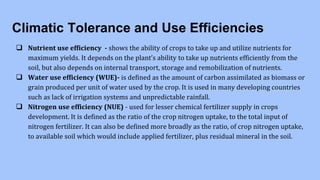 Climatic Tolerance and Use Efficiencies
 Nutrient use efficiency - shows the ability of crops to take up and utilize nutrients for
maximum yields. It depends on the plant’s ability to take up nutrients efficiently from the
soil, but also depends on internal transport, storage and remobilization of nutrients.
 Water use efficiency (WUE)- is defined as the amount of carbon assimilated as biomass or
grain produced per unit of water used by the crop. It is used in many developing countries
such as lack of irrigation systems and unpredictable rainfall.
 Nitrogen use efficiency (NUE) - used for lesser chemical fertilizer supply in crops
development. It is defined as the ratio of the crop nitrogen uptake, to the total input of
nitrogen fertilizer. It can also be defined more broadly as the ratio, of crop nitrogen uptake,
to available soil which would include applied fertilizer, plus residual mineral in the soil.
 