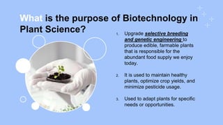 What is the purpose of Biotechnology in
Plant Science? 1. Upgrade selective breeding
and genetic engineering to
produce edible, farmable plants
that is responsible for the
abundant food supply we enjoy
today.
2. It is used to maintain healthy
plants, optimize crop yields, and
minimize pesticide usage.
3. Used to adapt plants for specific
needs or opportunities.
 
