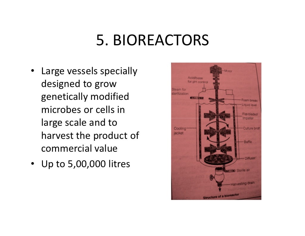 biotechnology-karnataka-puc