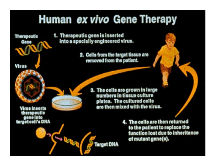 Human Genome Project Human Genome Project