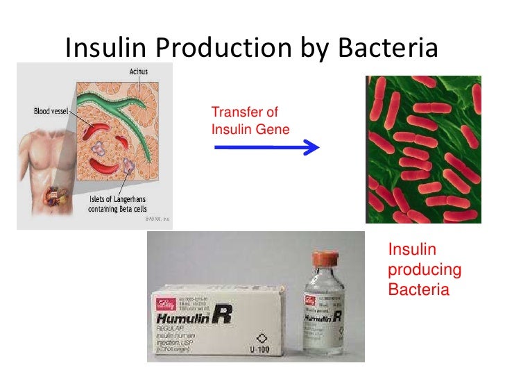 Biotechnology karnataka sslc
