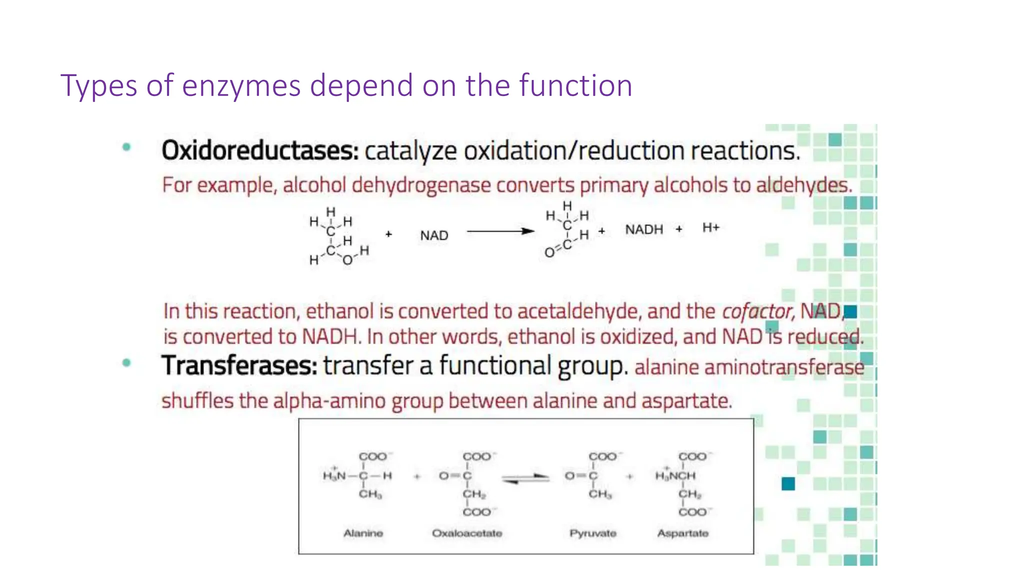 Types of enzymes depend on the function
 