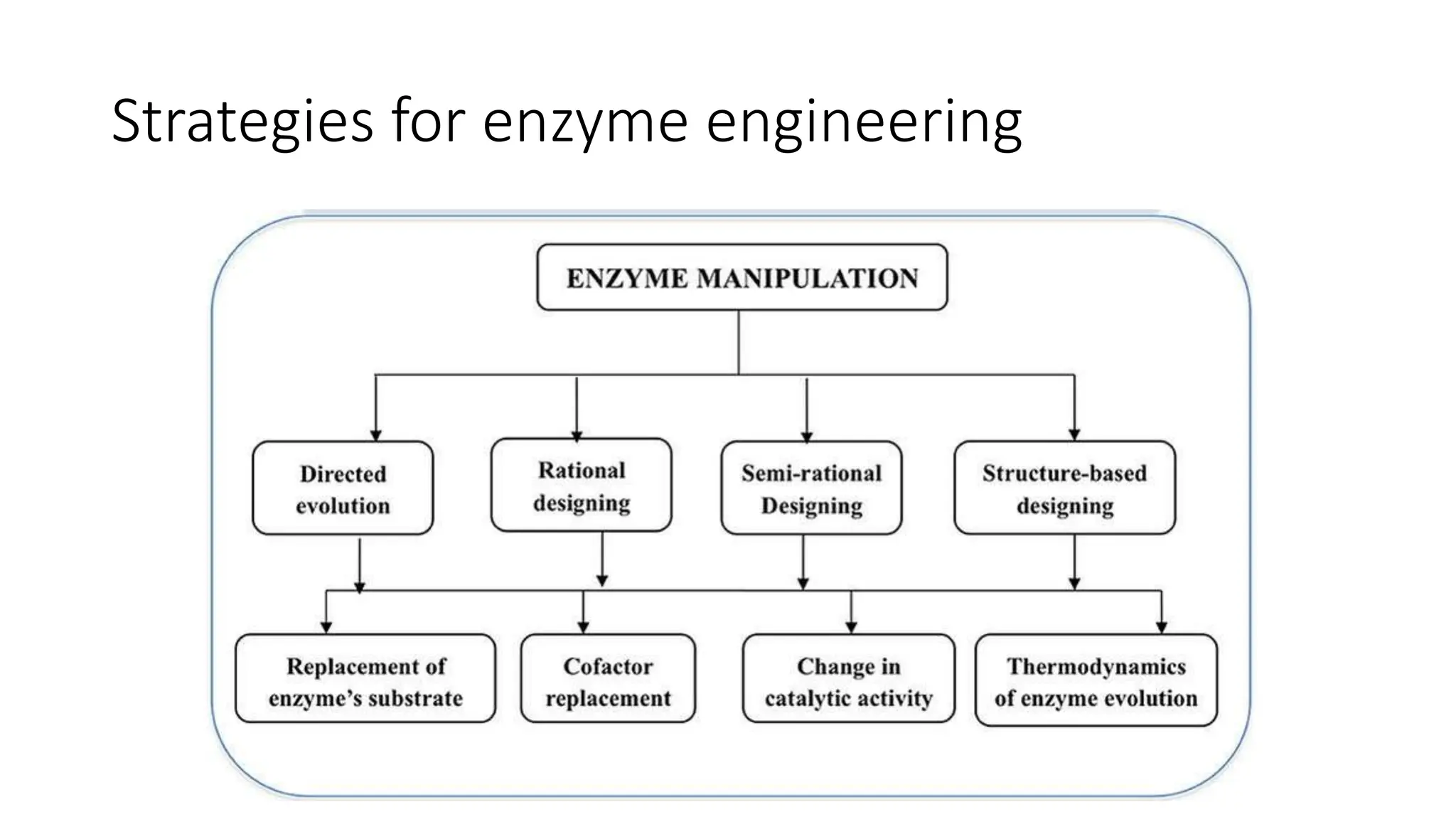 Strategies for enzyme engineering
 