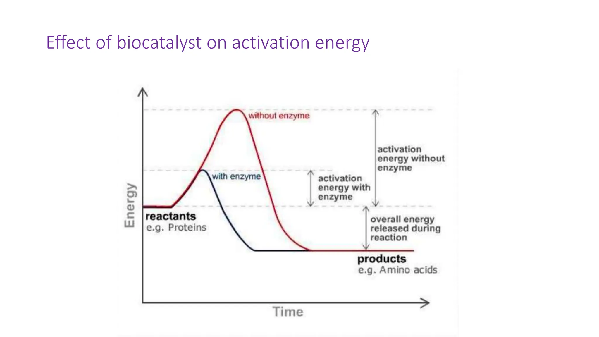 Effect of biocatalyst on activation energy
 