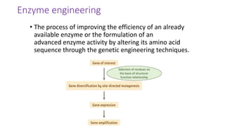 Enzyme engineering
• The process of improving the efficiency of an already
available enzyme or the formulation of an
advanced enzyme activity by altering its amino acid
sequence through the genetic engineering techniques.
 