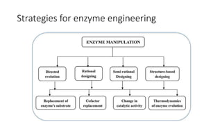 Strategies for enzyme engineering
 