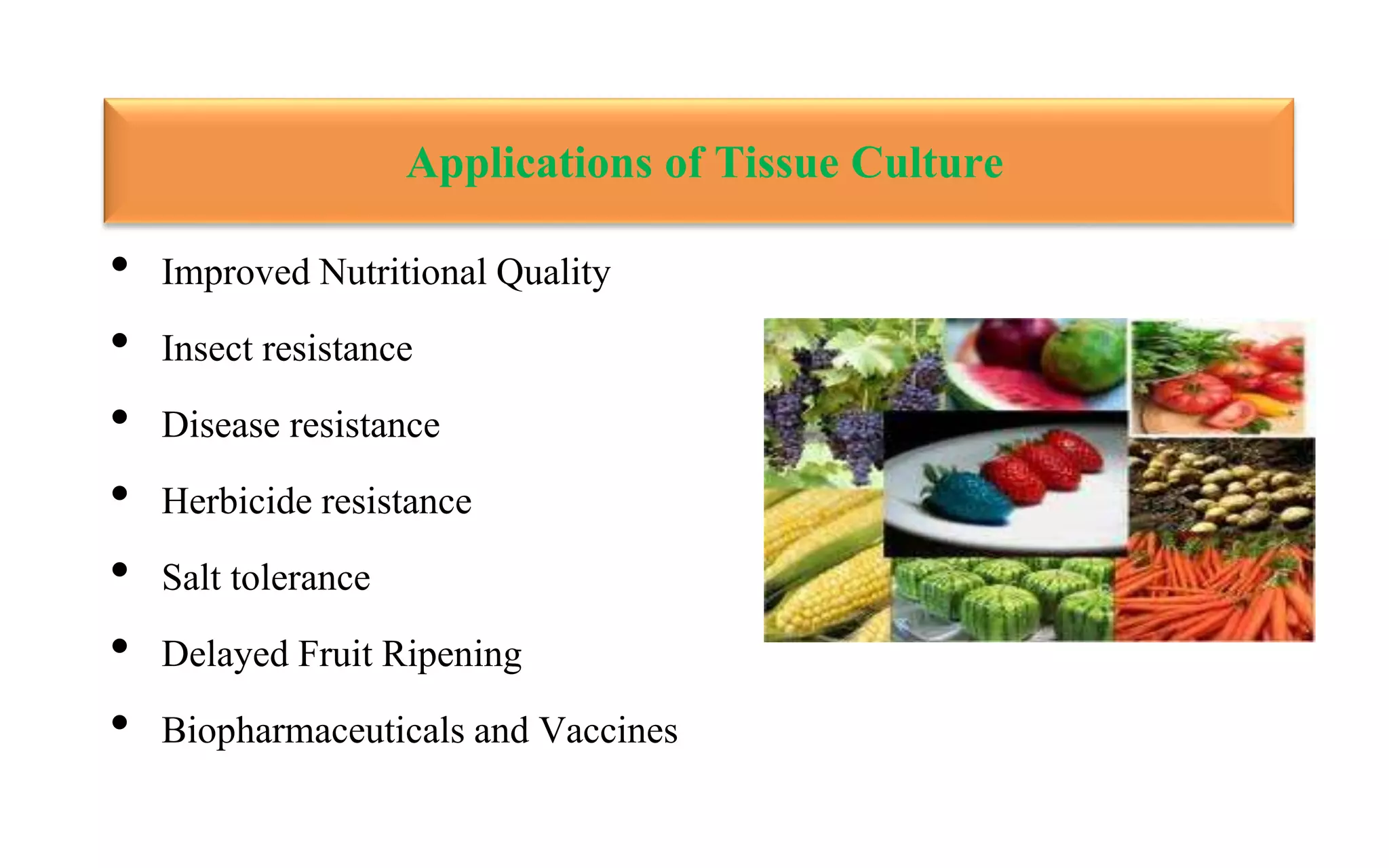 application of tissue culture in crop improvement | PPTX
