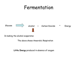 Fermentation Glucose alcohol + Carbon Dioxide + Energy In baking the alcohol evaporates The above shows Anaerobic Respiration Little Energy  produced in absence of oxygen 
