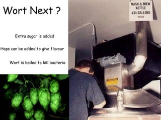 Wort Next ? Extra sugar is added Hops can be added to give flavour Wort is boiled to kill bacteria 